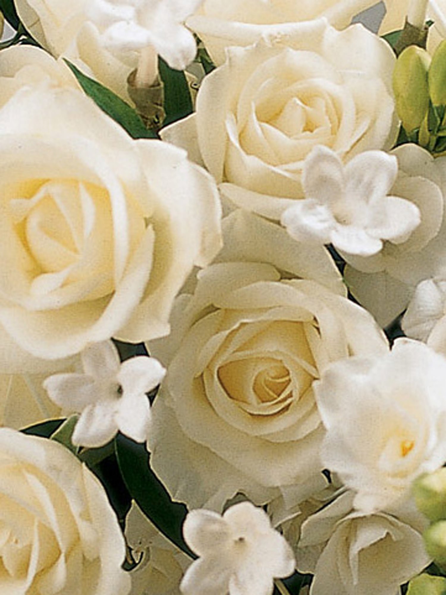 Ivory Rose & Orchid Scented Bridal Bouquet-8895