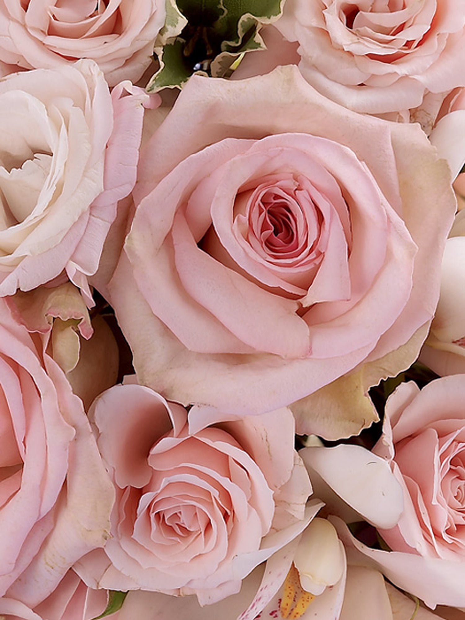 Soft Pink Rose & Orchid Bridal Bouquet-8911