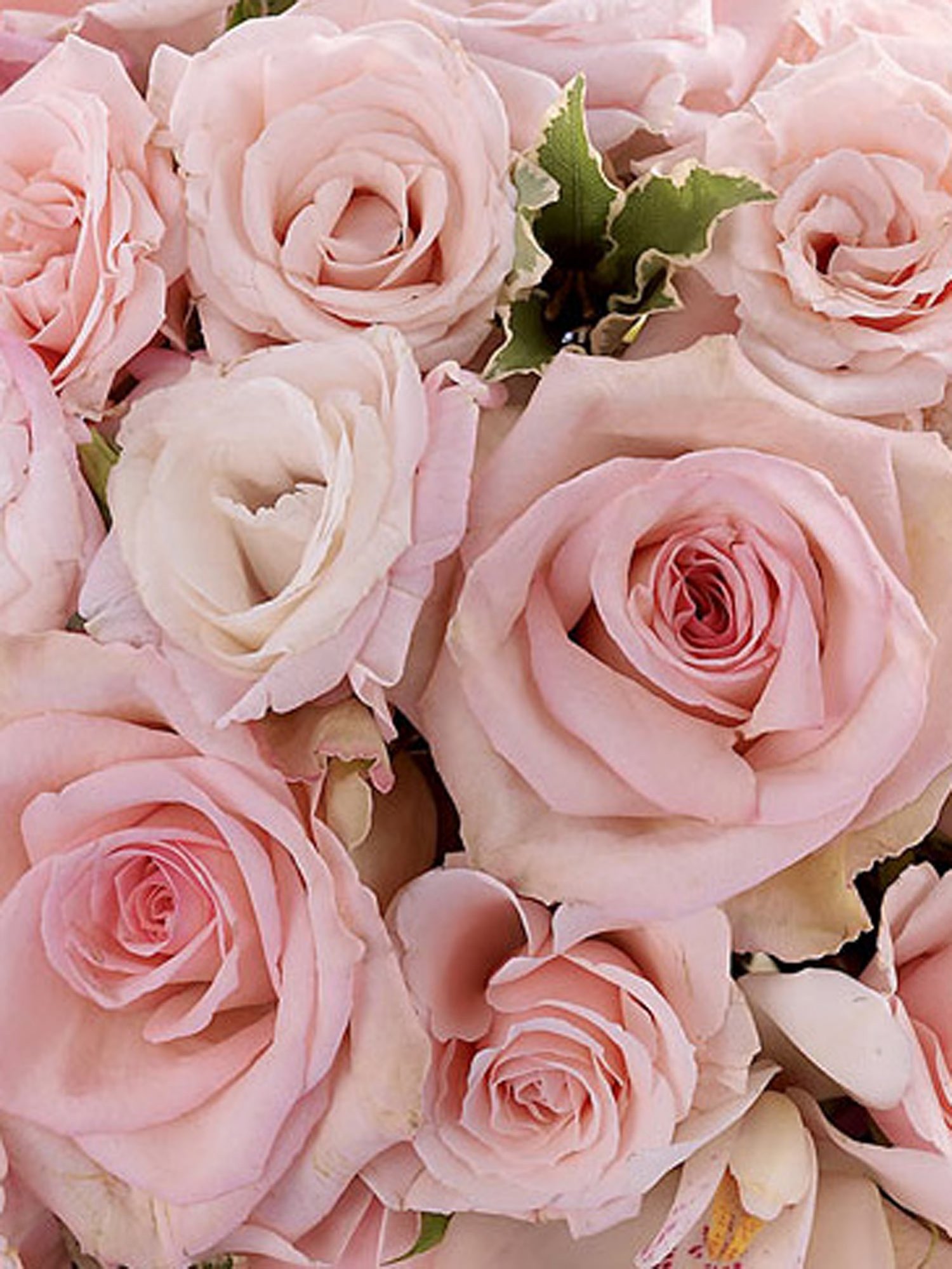 Soft Pink Rose & Orchid Bridal Bouquet-8912