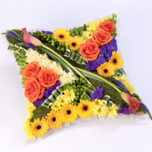 Contemporary Cushion - Vibrant