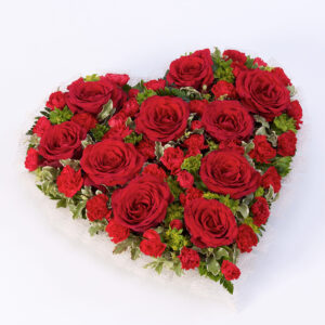 Red Rose and Carnation Heart