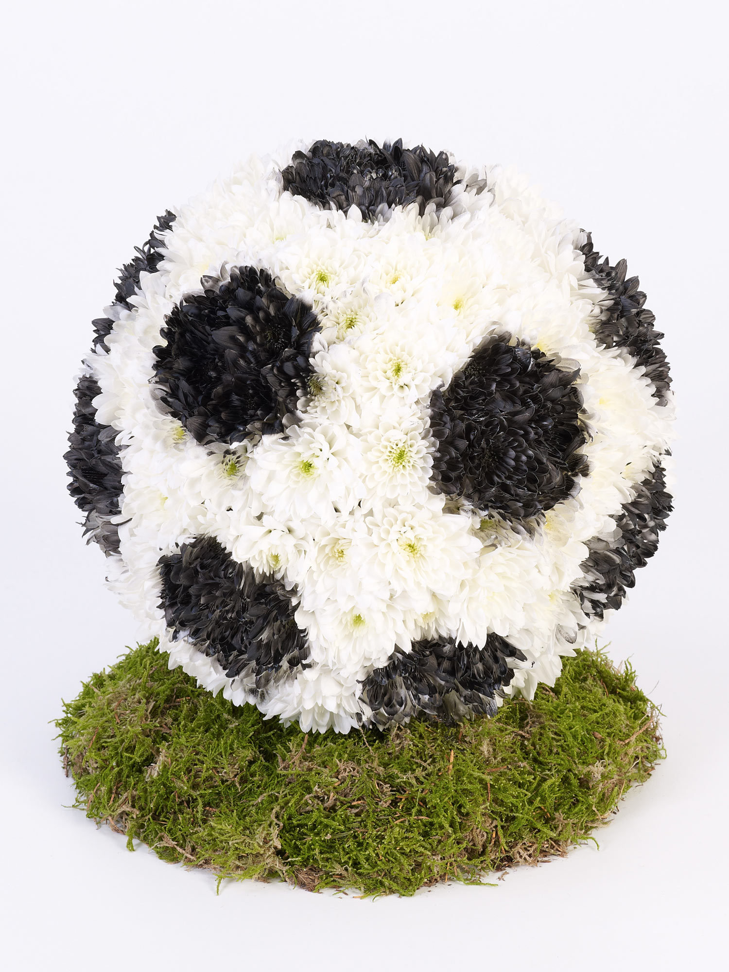 Football Tribute Football Tribute-0