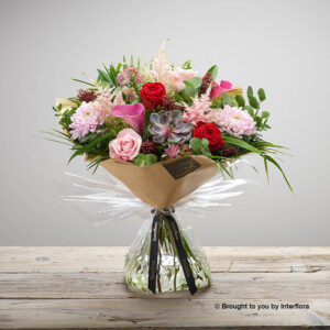 Blushing Beau Hand-tied